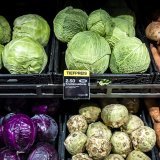 Gauche et droite ont des avis opposés sur la procédure facilitée pour les produits phytosanitaires (image d'illustration). KEYSTONE/MICHAEL BUHOLZER
